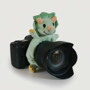 Cameraknuffel dino