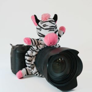 Cameraknuffel zebra